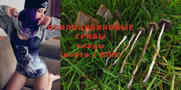 тгк Михайлов