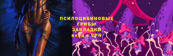 тгк Михайлов