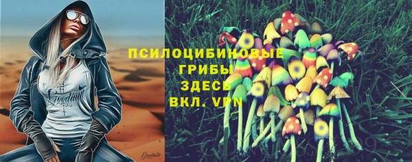 тгк Михайлов