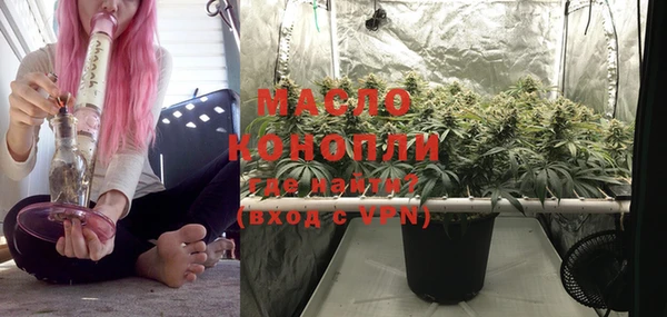 тгк Михайлов