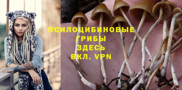 синтетический гашиш Медвежьегорск