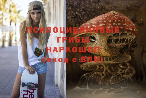 тгк Михайлов