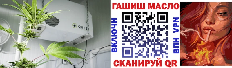 Купить где  Холмск  ТГК вейп 